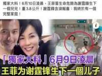 上海申掣网络科技有限公司