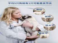 上海申掣网络科技有限公司