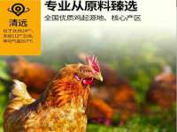 上海申掣网络科技有限公司