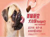 上海申掣网络科技有限公司