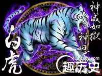 上海申掣网络科技有限公司