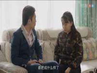 上海申掣网络科技有限公司