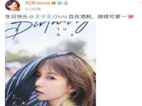 上海申掣网络科技有限公司
