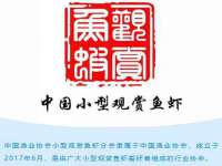 上海申掣网络科技有限公司