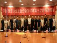上海申掣网络科技有限公司