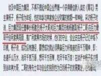 上海申掣网络科技有限公司