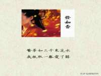 上海申掣网络科技有限公司