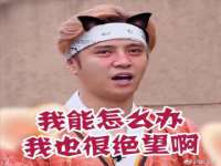 上海申掣网络科技有限公司
