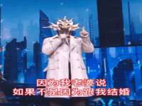 上海申掣网络科技有限公司