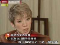 上海申掣网络科技有限公司