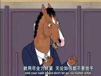 上海申掣网络科技有限公司