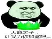 上海申掣网络科技有限公司