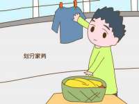 上海申掣网络科技有限公司