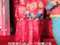 上海申掣网络科技有限公司