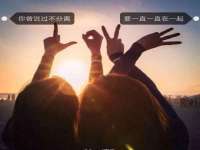 上海申掣网络科技有限公司