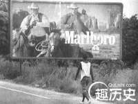 上海申掣网络科技有限公司