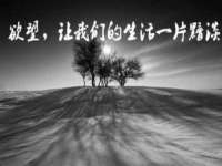 上海申掣网络科技有限公司