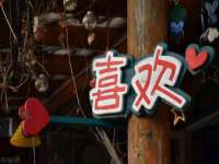 上海申掣网络科技有限公司