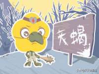 上海申掣网络科技有限公司