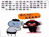 上海申掣网络科技有限公司