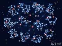 上海申掣网络科技有限公司