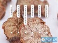 上海申掣网络科技有限公司
