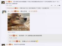 上海申掣网络科技有限公司