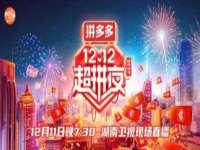 上海申掣网络科技有限公司