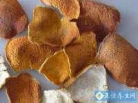 上海申掣网络科技有限公司