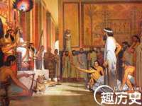 上海申掣网络科技有限公司