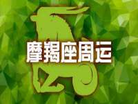 上海申掣网络科技有限公司