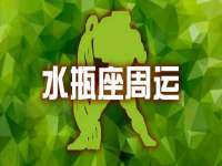 上海申掣网络科技有限公司