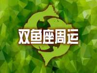 上海申掣网络科技有限公司