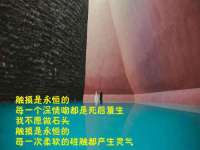上海申掣网络科技有限公司