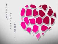 上海申掣网络科技有限公司