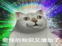上海申掣网络科技有限公司
