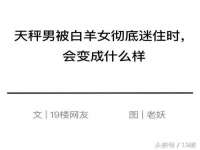上海申掣网络科技有限公司