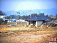 上海申掣网络科技有限公司
