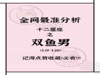 上海申掣网络科技有限公司