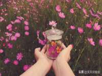 上海申掣网络科技有限公司