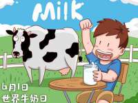 上海申掣网络科技有限公司