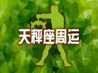 上海申掣网络科技有限公司