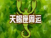 上海申掣网络科技有限公司