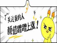 上海申掣网络科技有限公司