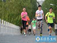 上海申掣网络科技有限公司