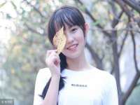 上海申掣网络科技有限公司