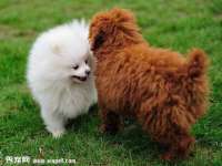 上海申掣网络科技有限公司