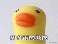 上海申掣网络科技有限公司