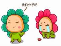 上海申掣网络科技有限公司