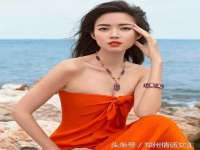 上海申掣网络科技有限公司
